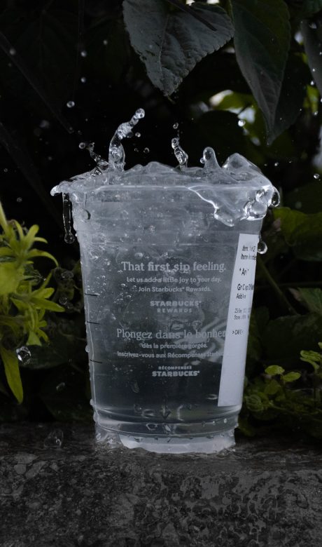 water cups splashing by ice cubes, with a plant background